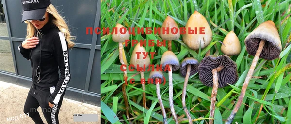 PSILOCYBIN Абаза