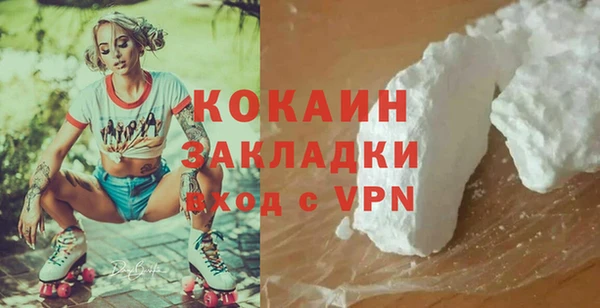 соль ск Алексин