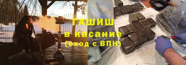 гидра Арсеньев
