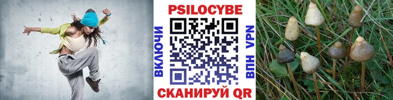 Псилоцибиновые грибы ЛСД  Берёзовка 